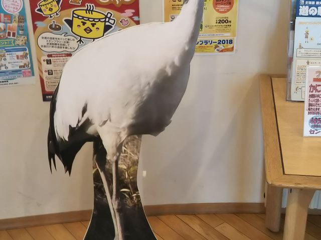 ���̉w��_���̉w �}�I�C�̋u����