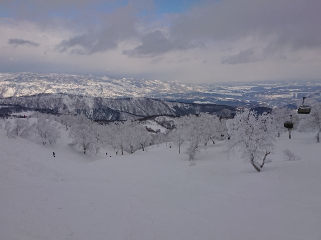 �����̎R�X�̒��߂��f���炵���B_�і��R