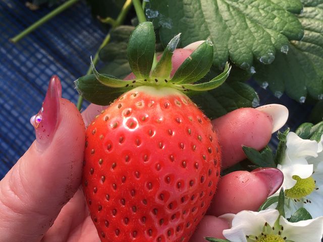 �Â�䕂��R�����܂����I�I_䕉����߃n�E�X