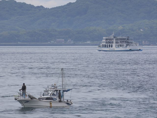 �Ƃ�����񂳂�̑��萣�˂̓��e�ʐ^2