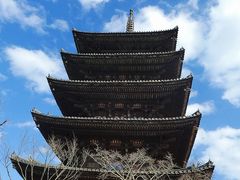 }bN̖@ώi̓jւ̓eʐ^1