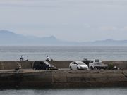 �Ƃ�����񂳂�̑��萣�˂̓��e�ʐ^1