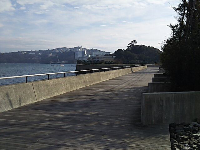 �V����_�J�����̎U����