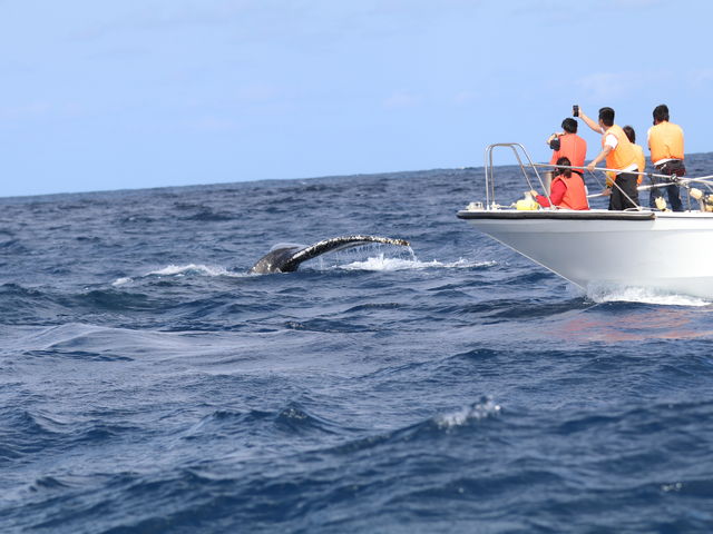 ߂(*^^*)I__CrO`[@Ȃ̐