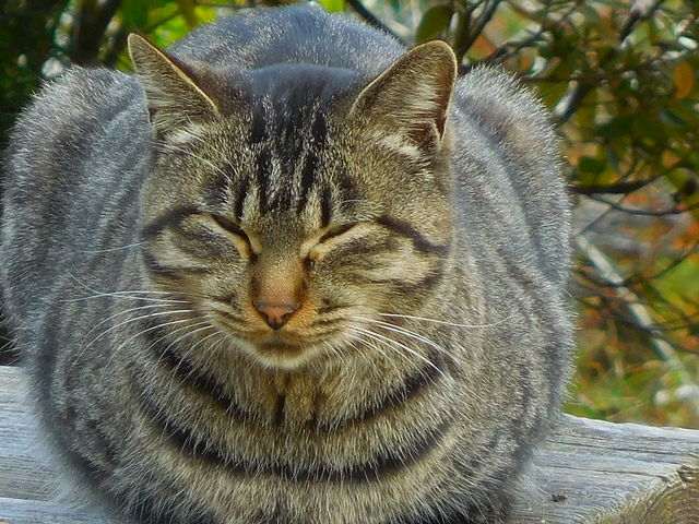 LOTTY̋g^͂Ȃ傤Ԃ̓eʐ^2