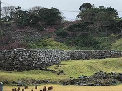 �W���b�L�[����̍��A�m�����j�����Z���^�[�ւ̓��e�ʐ^1