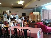 񂿂񂳂̘az@₵̕@Ȕl@qDH[̓eʐ^1