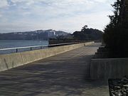 T[x^CK[̃J̎U̓eʐ^1