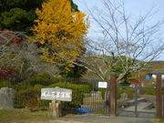 LOTTY̋g^͂Ȃ傤Ԃ̓eʐ^1