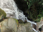 ̂̔p̏aE΂̏a̓eʐ^1