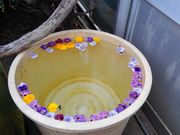 ̂肳̒ܖ؍ԉ̓eʐ^1