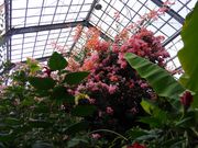 ̂肳̒ܖ؍ԉ̓eʐ^2