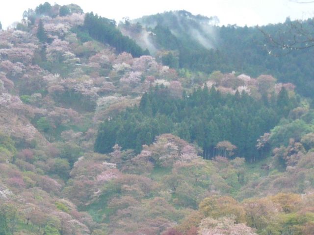 g_Ђ́gڐ{hB`oEÌO̕ʂ쒩̈jɏĕĂłB_gR̍