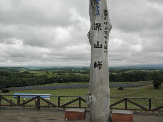 �[�R��_�[�R���W�]��