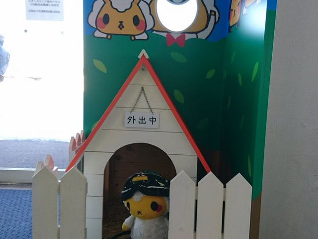 �W���M�X�J���̃W������̂���_�����ۂ�r���u�W�]��