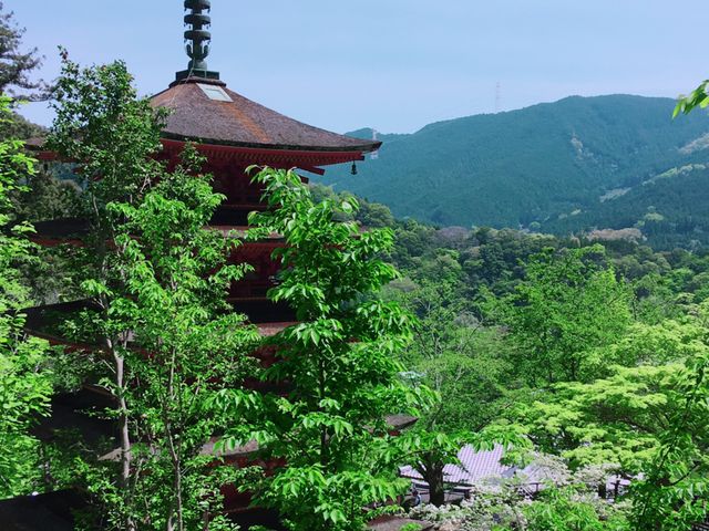 �S������܂�_���J��