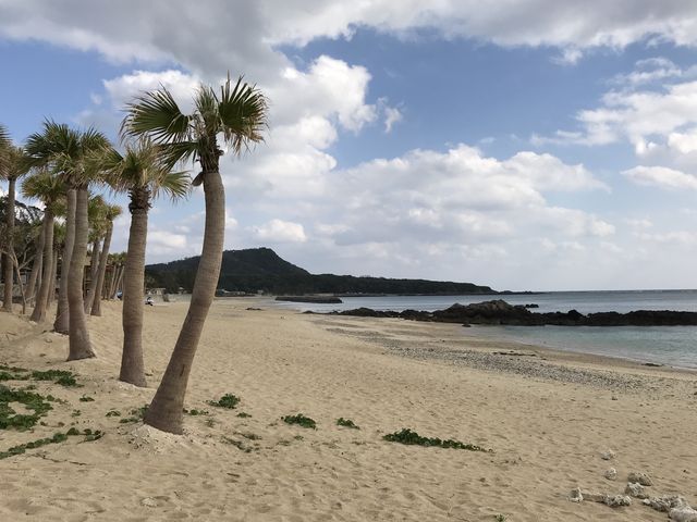 �o�V���R���O�̊C�݁B
�C���͔��������l���S�~�Ȃǌ�������܂���B_�������]�[�g�΂���R��