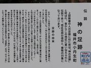 Ƃ񂳂̐_̑Ղ̓eʐ^1