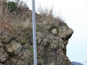 Ƃ񂳂̐_̑Ղ̓eʐ^4