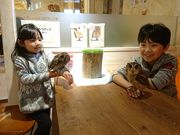 E^̂ӂ낤̂JtFV_̓eʐ^1