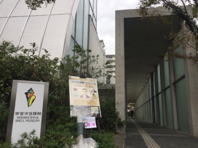 }X^[h̐{sLފق̓eʐ^1