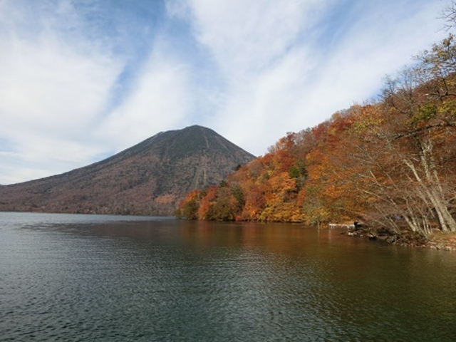 ���T����_�����R