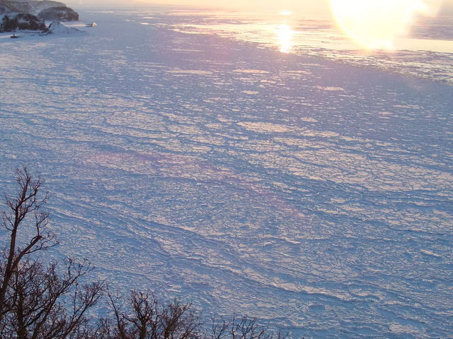 ���n�����藬�X�̐�i_�I�z�[�c�N�C�̗��X