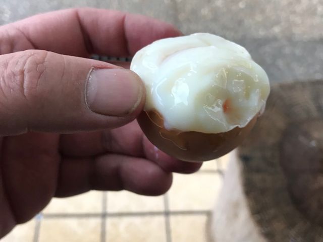 �v���v���Ŕ�������_��������