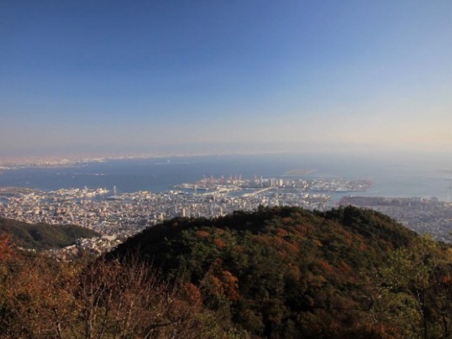 �����炵�f���炵��_���냍�[�v�E�F�C