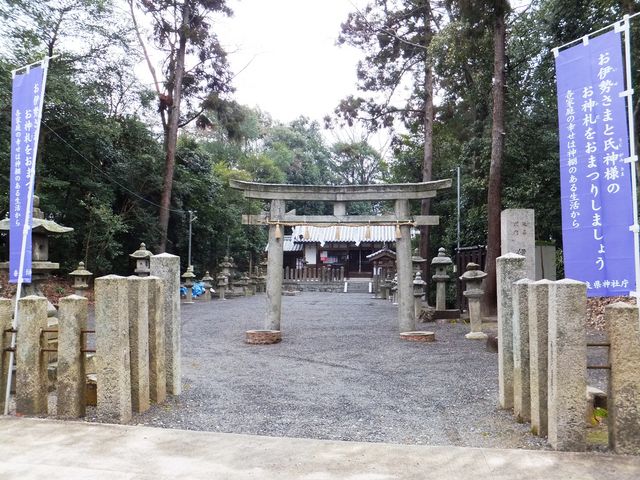 �Ԃ̂킾���͂���܂��B�n���̐l�����H_�Ɏדߊ�_��