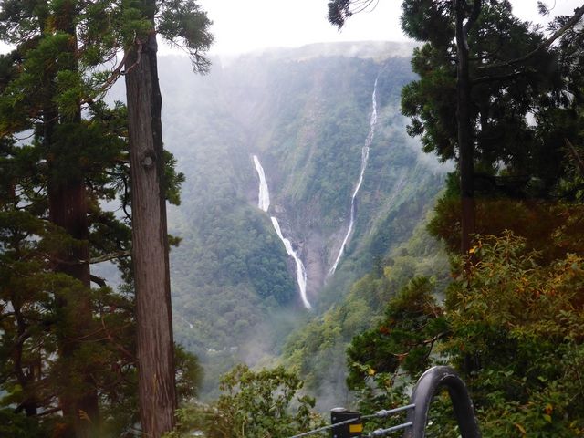 �̖���i�����j_�̖���