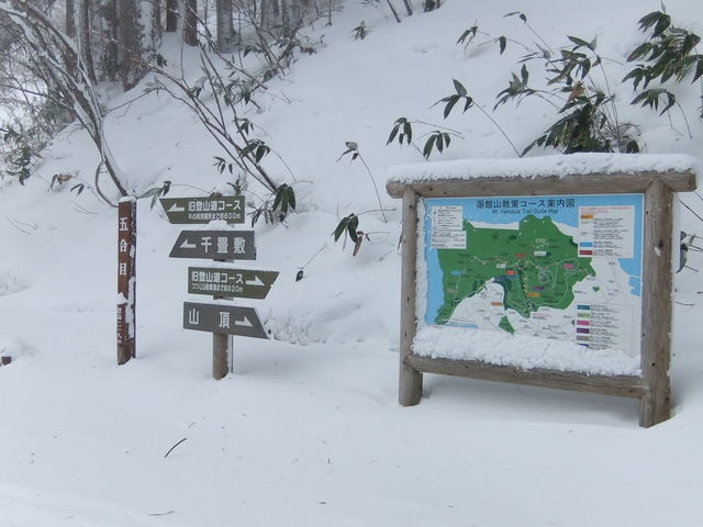 �^�~�̓o�R��(���ɑ��̓�)_���َR