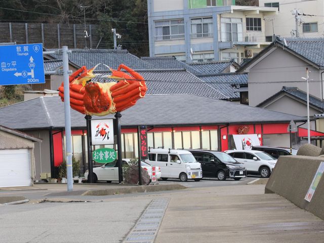 Ƃ񂳂̉zOɐX ɔ̓eʐ^1