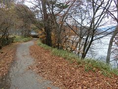 �ɂ��ǂ񂳂�̒��T���΃X�J�C���C���ւ̓��e�ʐ^1