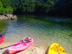 LER̉vKChNuւ̓eʐ^1