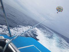 ؂񂳂CoCoMarineւ̓eʐ^1