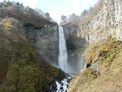 ɂǂ񂳂̉Tόēւ̓eʐ^2