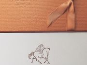 肳̃SfBo 򐼕X̓eʐ^1