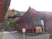 ɂǂ񂳂̉Tόē̓eʐ^5