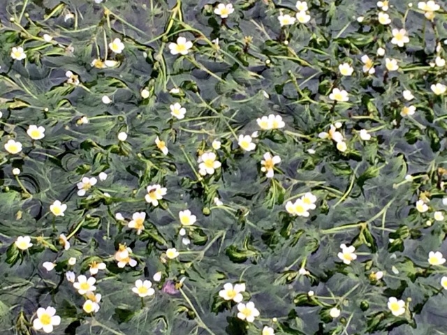 �~�ԑ�_����E�n����̔~�ԑ�