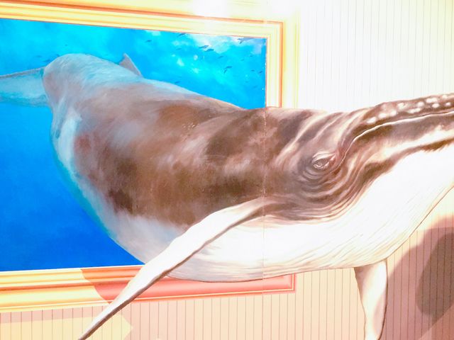 �M�C�g���b�N�A�[�g���{��