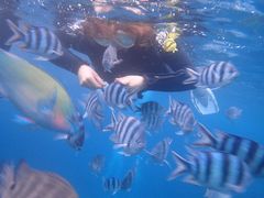 炿񂳂B-natureւ̓eʐ^3