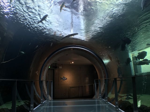 360�x�y���߂܂�_�Ȗ،��Ȃ����퐅�V��