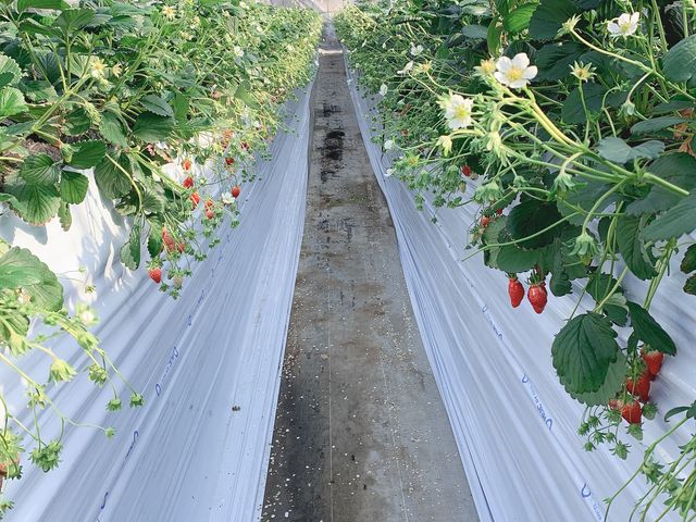 �n�E�X��_�{�c��������