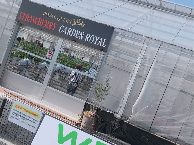 �Y��ɐ������ꂽ�r�j�[���n�E�X�ł���_STRAWBERRY GARDEN ROYAL