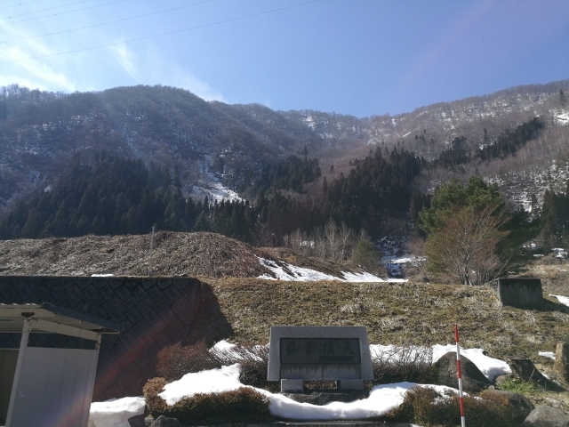 �R��_���Ή���