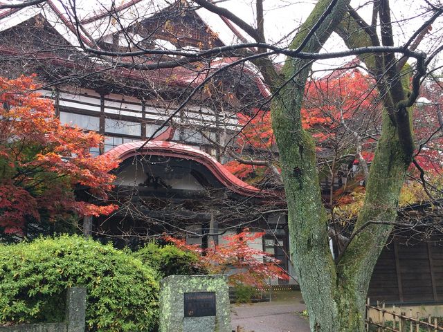 �g�t�ƈꏏ��_�����隬�����@�����t