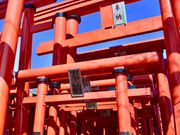 ��������̏����א_�Ђ̓��e�ʐ^1