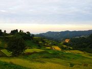 amucha̎l̒Ic̓eʐ^1