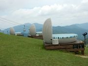 VR݂񒿓̂т΃eX̓eʐ^3